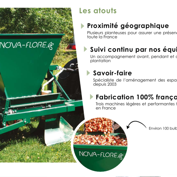 LOCATION PLANTEUSE A BULBES